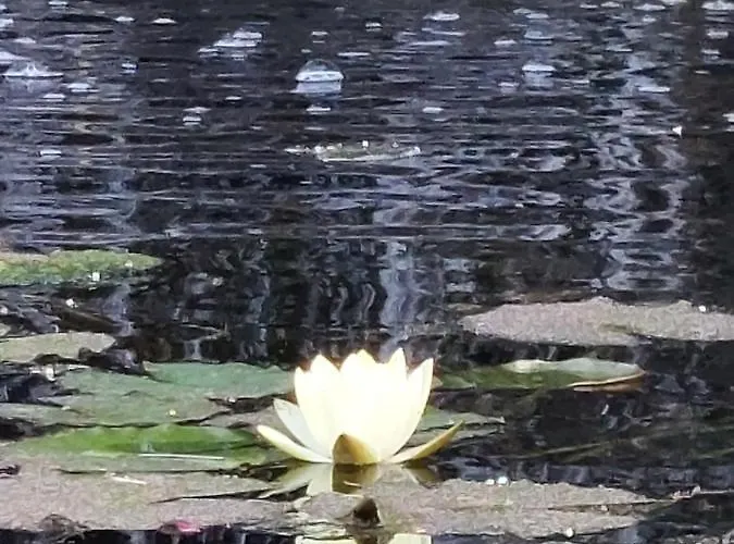 Estudio Espectacular Vista Mar Апартаменты Морро-дель-Хабле