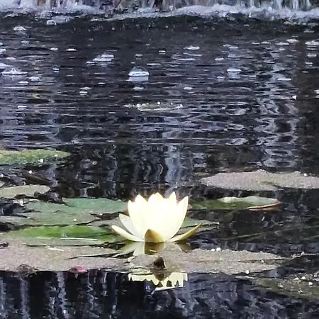 Estudio Espectacular Vista Mar Διαμέρισμα Morro Jable (Fuerteventura)